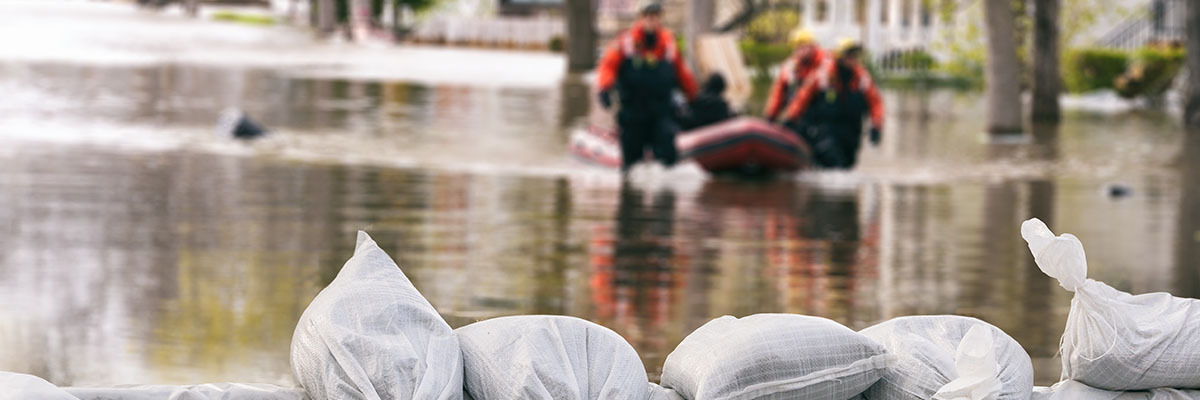 What is Force Majeure?